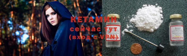 прущие грибы Медногорск