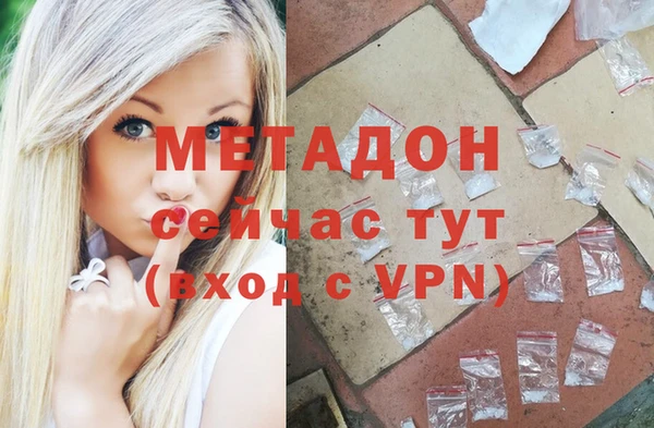 прущие грибы Медногорск