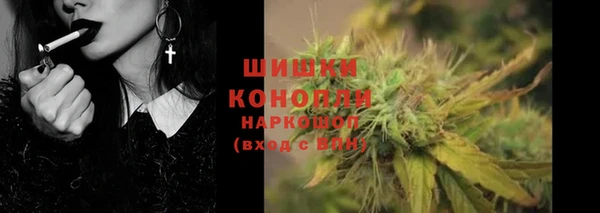 прущие грибы Медногорск