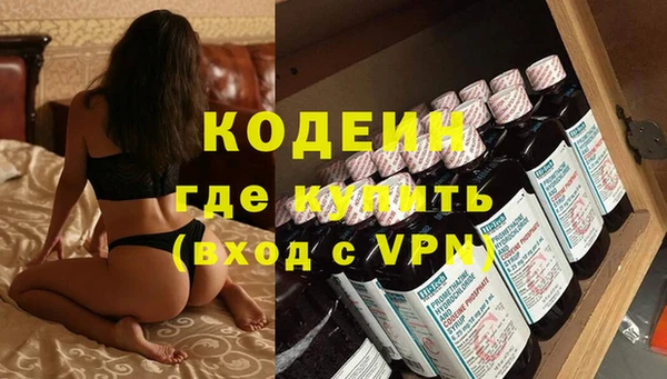 прущие грибы Медногорск