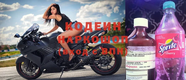 прущие грибы Медногорск
