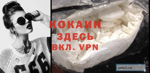 прущие грибы Медногорск