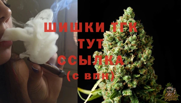 прущие грибы Медногорск