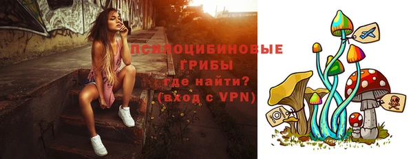 синтетический гашиш Медвежьегорск