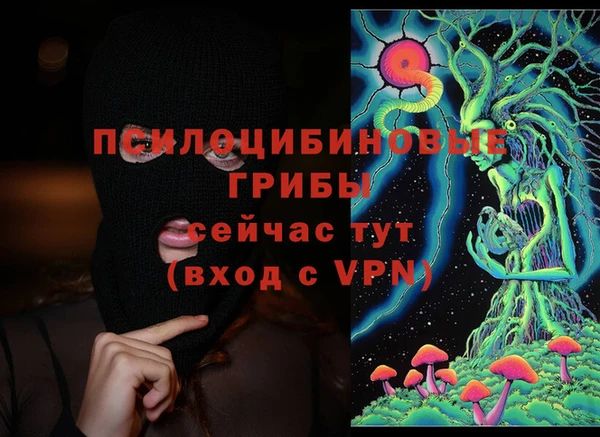 стафф Анжеро-Судженск