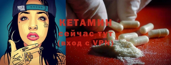 прущие грибы Медногорск