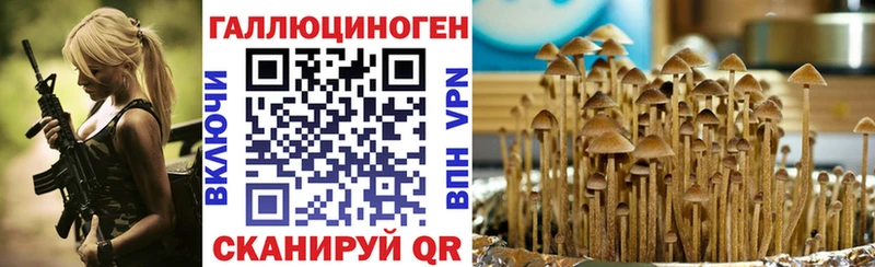 Галлюциногенные грибы GOLDEN TEACHER  KRAKEN рабочий сайт  Балашиха 